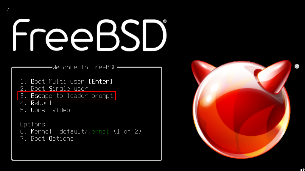 Does FreeBSD have kernel
